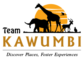 Team Kawumbi