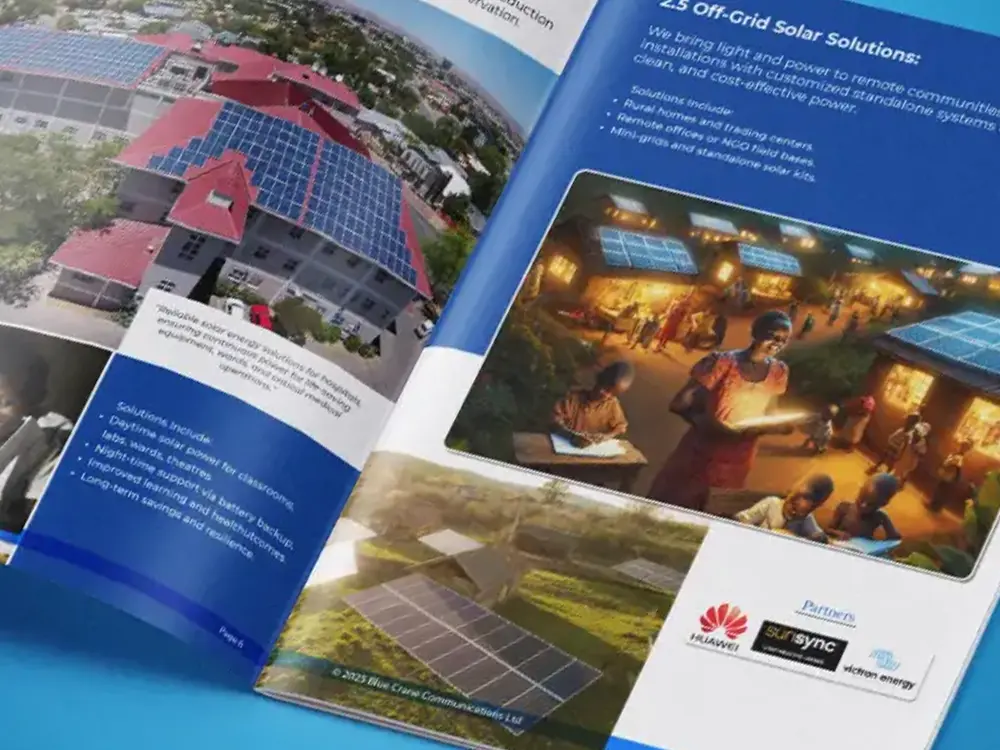 Open spread layout from Blue Crane Communications Ltd company profile design project