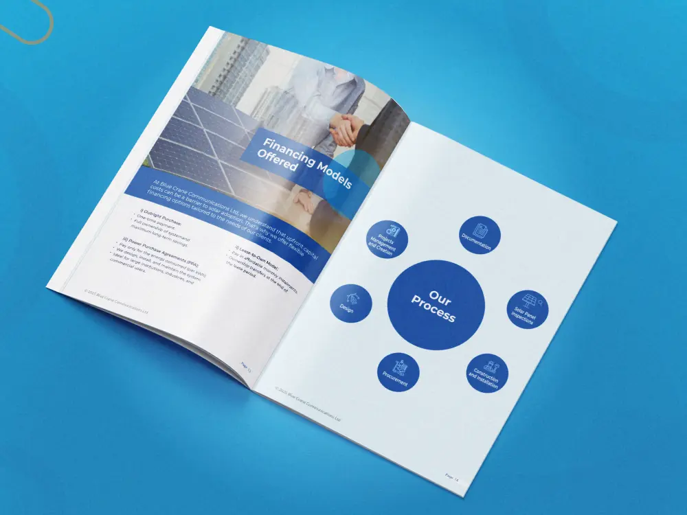 Infographic page design inside Blue Crane Communications Ltd company profile