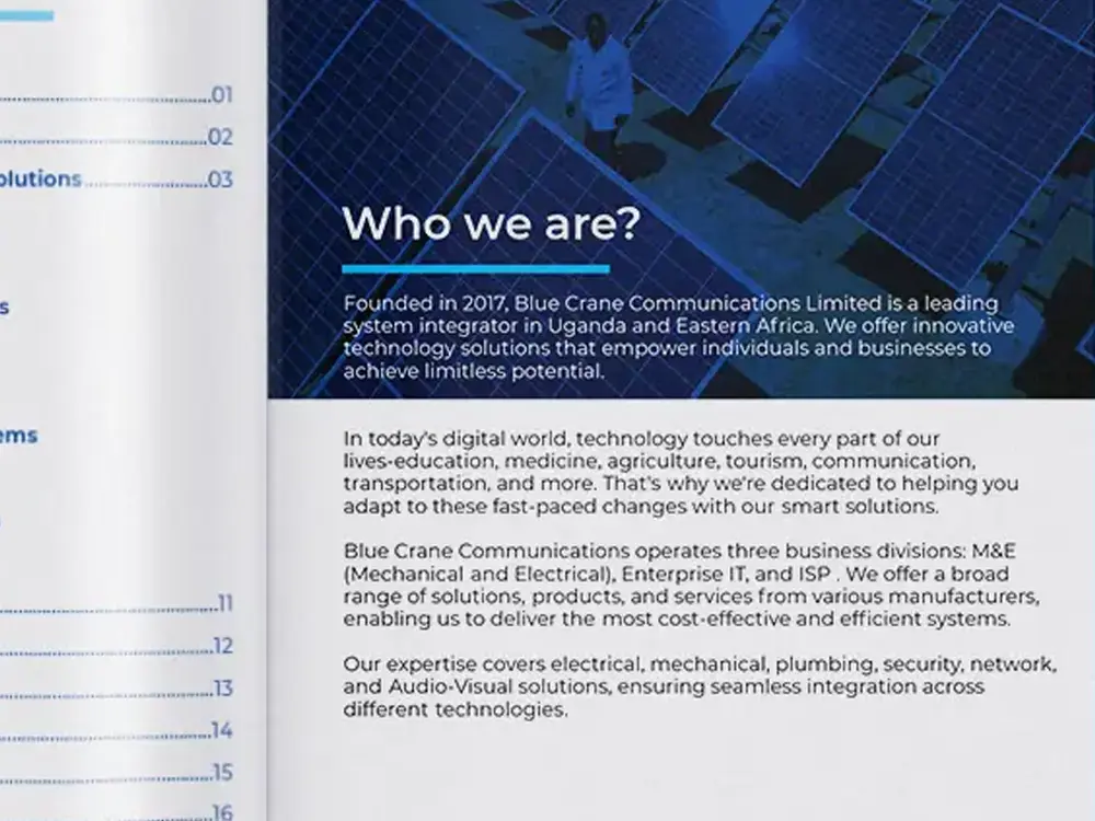 Typography detail from Blue Crane Communications Ltd company profile design