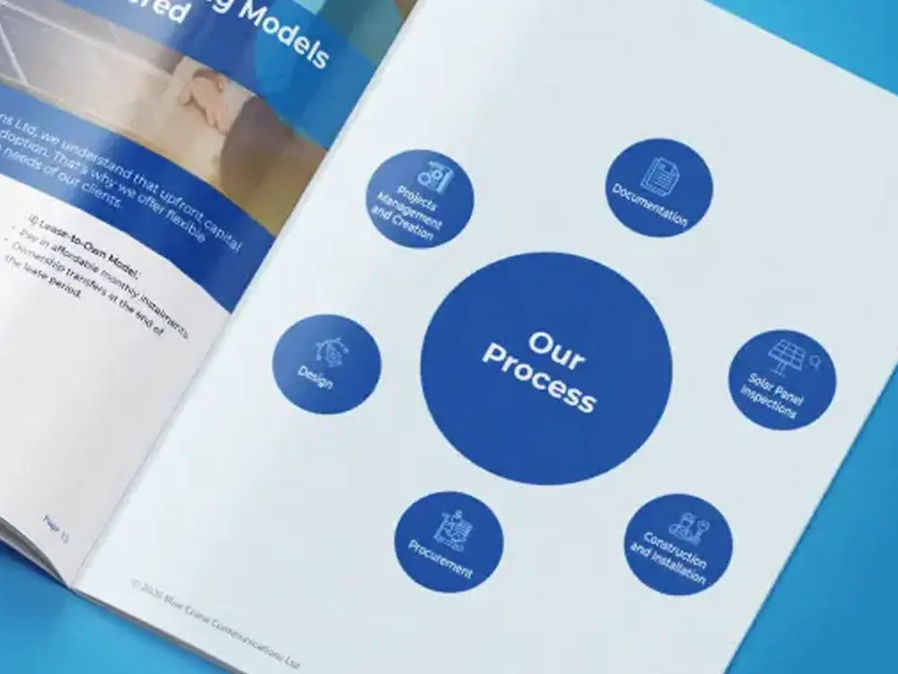 Infographic detail from Blue Crane Communications Ltd company profile brochure design