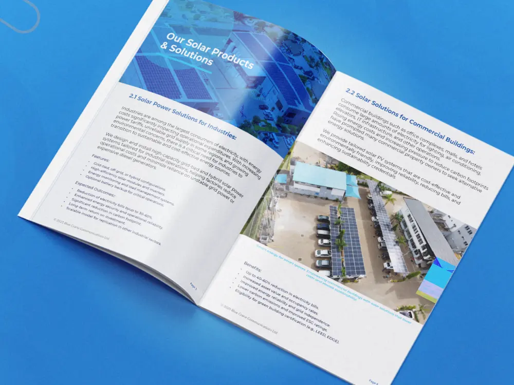 Blue Crane Communications Ltd services page layout from company profile design by Kamog Artistry (U) Ltd