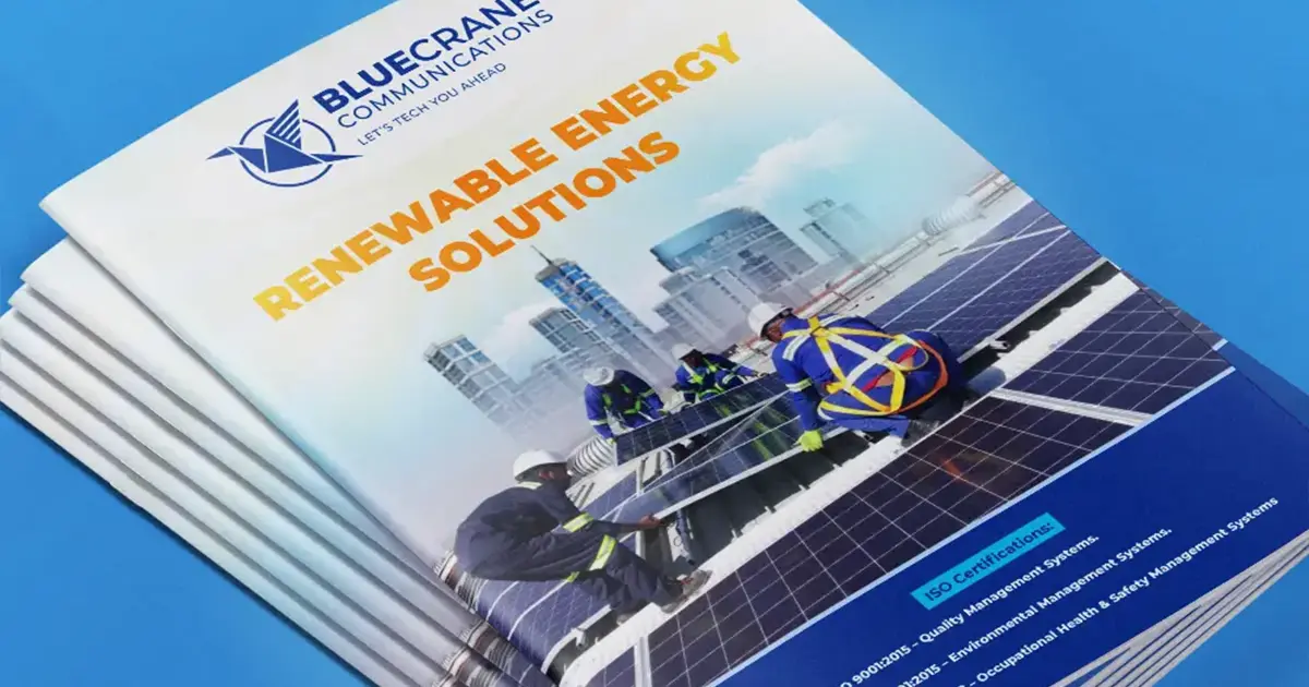 Blue Crane Communications Ltd company profile design preview