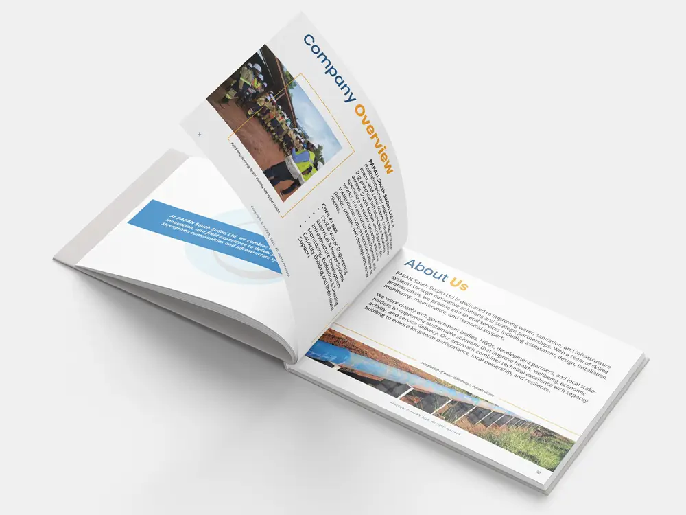 Inside spread of the PAPAN SSD company profile