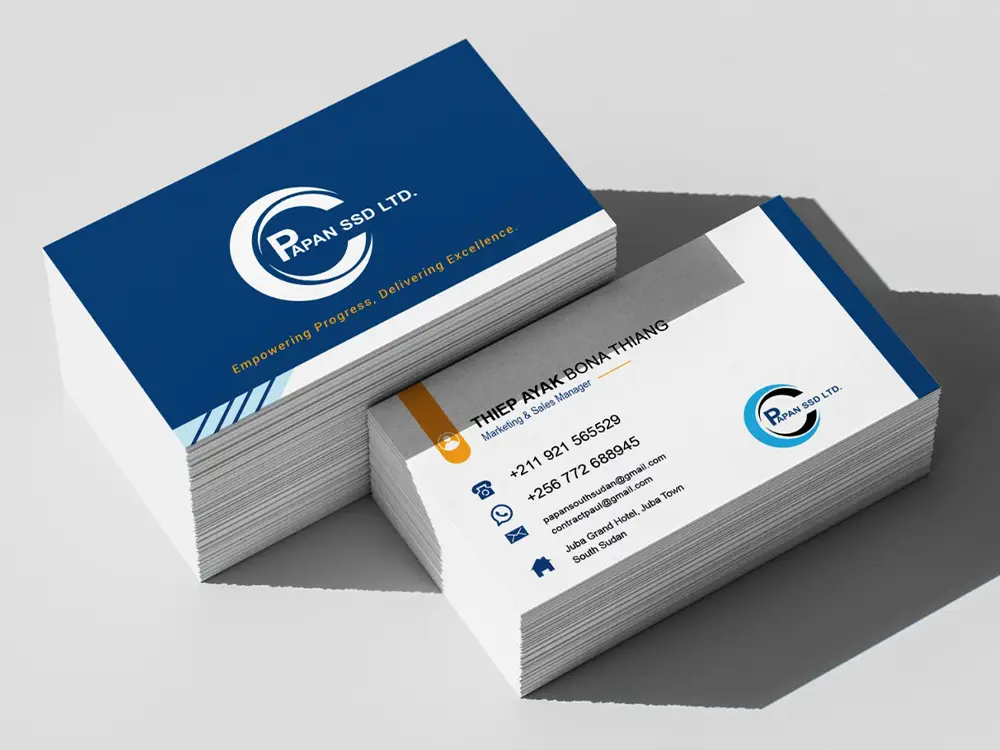 PAPAN SSD business card design mockup