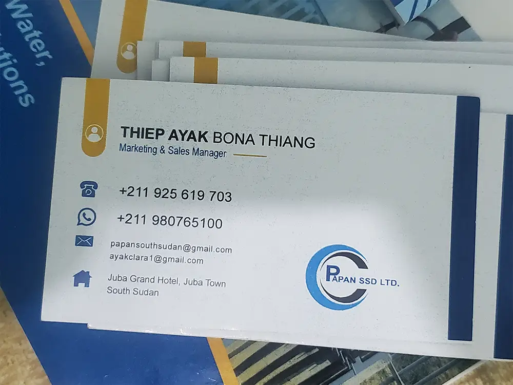 Printed PAPAN SSD business cards