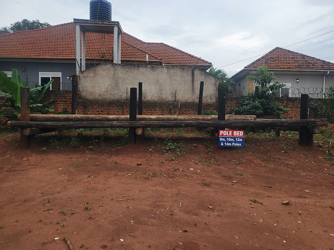 Ability Pharmacy - Image 12